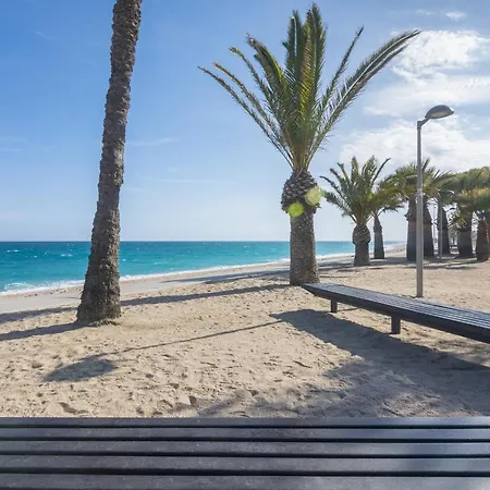 Apartment Homeholidaysrentals Dona - Costa Barcelona Pineda de Mar